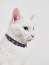 Athens Cat Collars