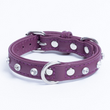 Athens Dog Collar ( Pink | Purple )