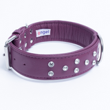 Athens Dog Collar ( Pink | Purple )