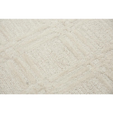 Emerson Neutral 8' x 10' Hand-Tufted Rug- ES1015