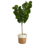 6ft. Fiddle Leaf Fig Artificial Tree in Handmade Natural Jute and Cotton Planter