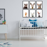 6x Baby Animals Posters Set - Nursery Kids Room Decor Cute Animal Wall Picture Poster Print - Boy Girl Decorations Art Pictures Prints
