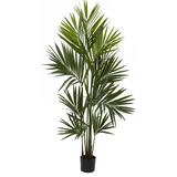 7ft. Kentia Palm Silk Tree