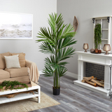 7ft. Kentia Palm Silk Tree