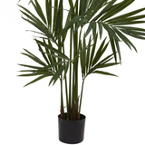 7ft. Kentia Palm Silk Tree