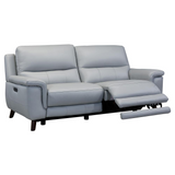 Lizette Contemporary Sofa in Dark Brown Wood Finish and Dove Grey Genuine Leather