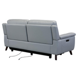 Lizette Contemporary Sofa in Dark Brown Wood Finish and Dove Grey Genuine Leather