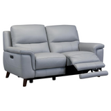 Lizette Contemporary Loveseat in Dark Brown Wood Finish and Dove Grey Genuine Leather