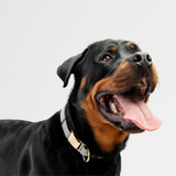 Aquafleece Dog Collar - Grey