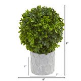 9in. Boxwood Artificial Mini Topiary (Set of 3)
