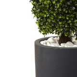 50in. Boxwood Topiary with Gray Cylindrical Planter UV Resistant (Indoor/Outdoor)