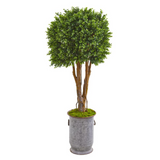 55in. Boxwood Artificial Topiary Tree in Planter UV Resistant (Indoor/Outdoor)