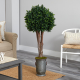 55in. Boxwood Artificial Topiary Tree in Planter UV Resistant (Indoor/Outdoor)