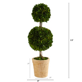2.5ft. Preserved Boxwood Double Ball Topiary Tree in Decorative Planter