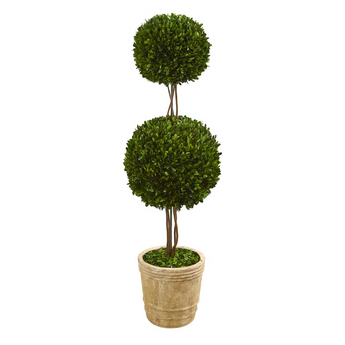 4ft. Preserved Boxwood Double Ball Topiary Tree in Planter