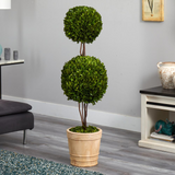 4ft. Preserved Boxwood Double Ball Topiary Tree in Planter