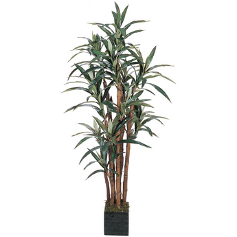 5ft. Yucca Silk Tree