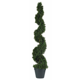 4ft. Cedar Spiral Silk Tree