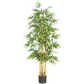 64in. Bamboo Silk Tree