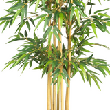 64in. Bamboo Silk Tree