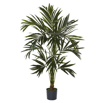 6ft. Kentia Silk Tree