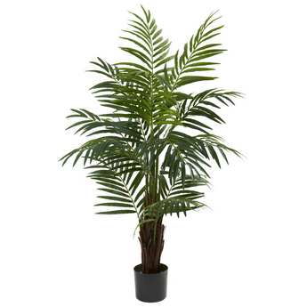 4ft. Areca Palm Tree