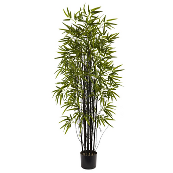 5ft. Black Bamboo Tree