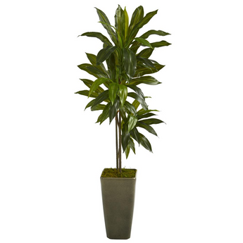 4.5ft. Dracaena Artificial Plant in Green Planter (Real Touch)
