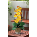 Phalaenopsis Silk Orchid Flower Arrangement - Yellow