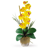 Phalaenopsis Silk Orchid Flower Arrangement - Yellow