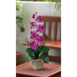 Phalaenopsis Silk Orchid Flower Arrangement - Pink