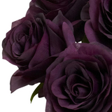Rose Arrangement with Vase - Purple