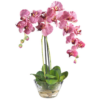 Phalaenopsis with Glass Vase Silk Flower Arrangement