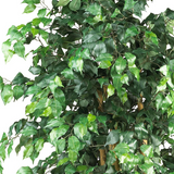 6ft. Palace Style Ficus Silk Tree