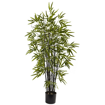 4ft. Black Bamboo Tree