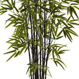 4ft. Black Bamboo Tree