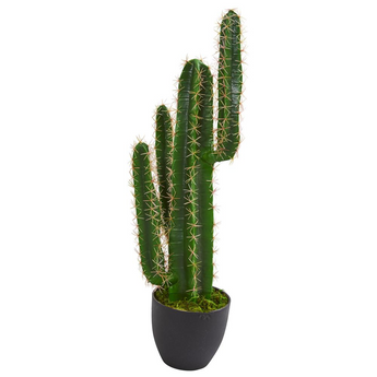 2.5ft. Cactus Artificial Plant
