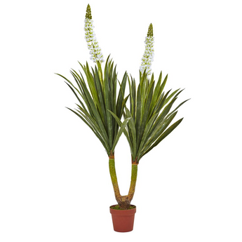 57in. Flowering Yucca Plant